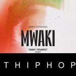 Zerb – Mwaki Timmy Trumpet Remix ft. Timmy Trumpet & Sofiya Nzau